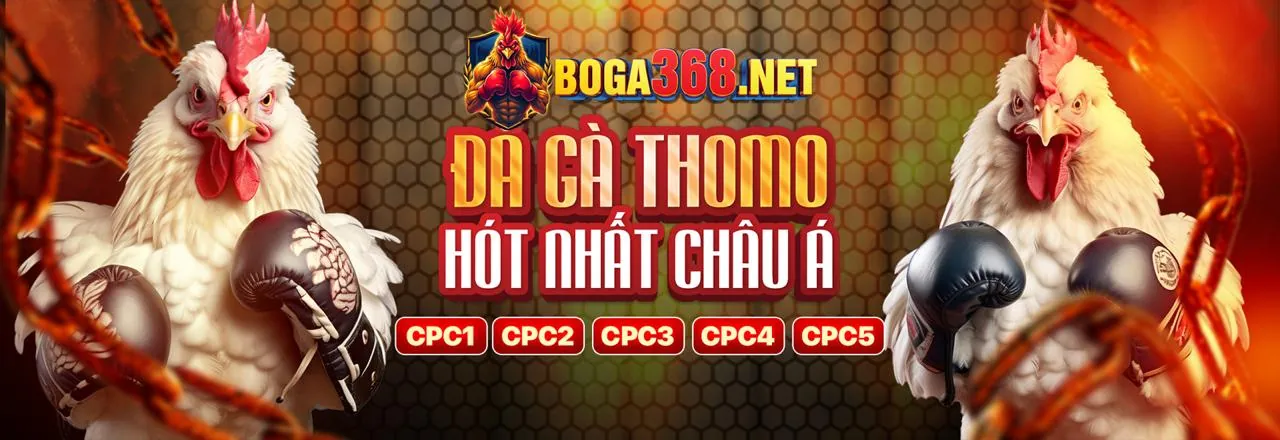 Hình ảnh chính blog vt999 win