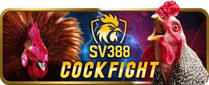 Hình ảnh cookie và công nghệ theo dõi được vt999 win sử dụng để cải thiện trải nghiệm