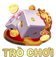 Chính sách quyền riêng tư